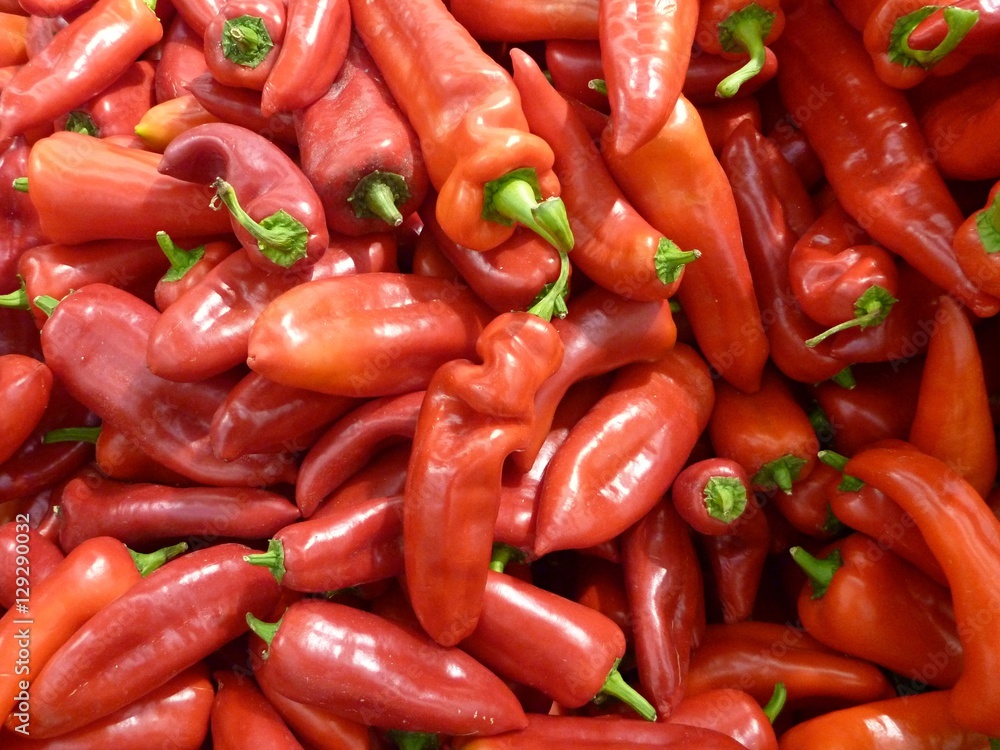 background of many fresh red peppers background of many fresh red peppers