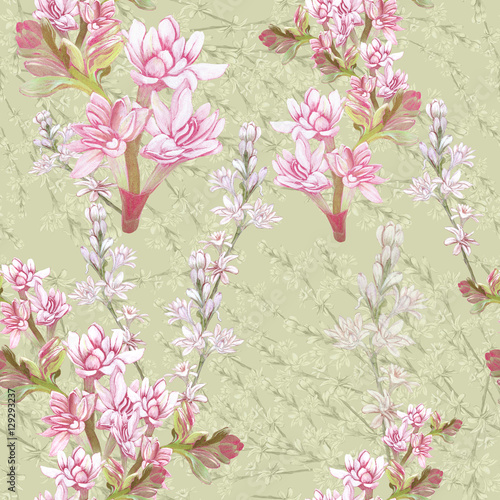 Tuberose - branches. Seamless pattern. medicinal, perfumery and cosmetic plants. Wallpaper. Use printed materials, signs, posters, postcards, packaging. 