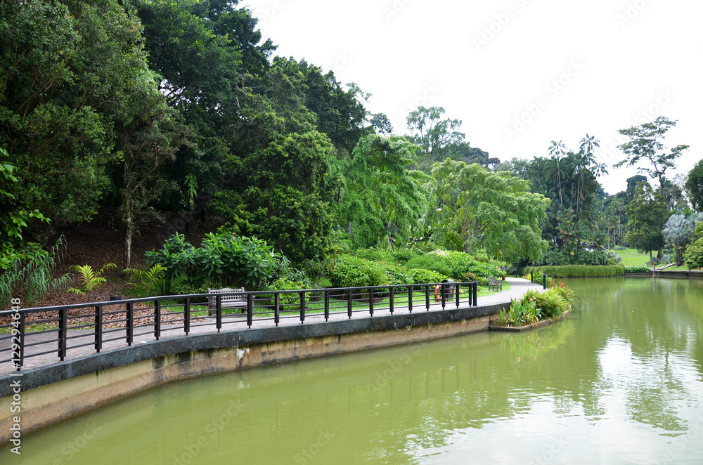 Lake in Singapore Botanic Garden
