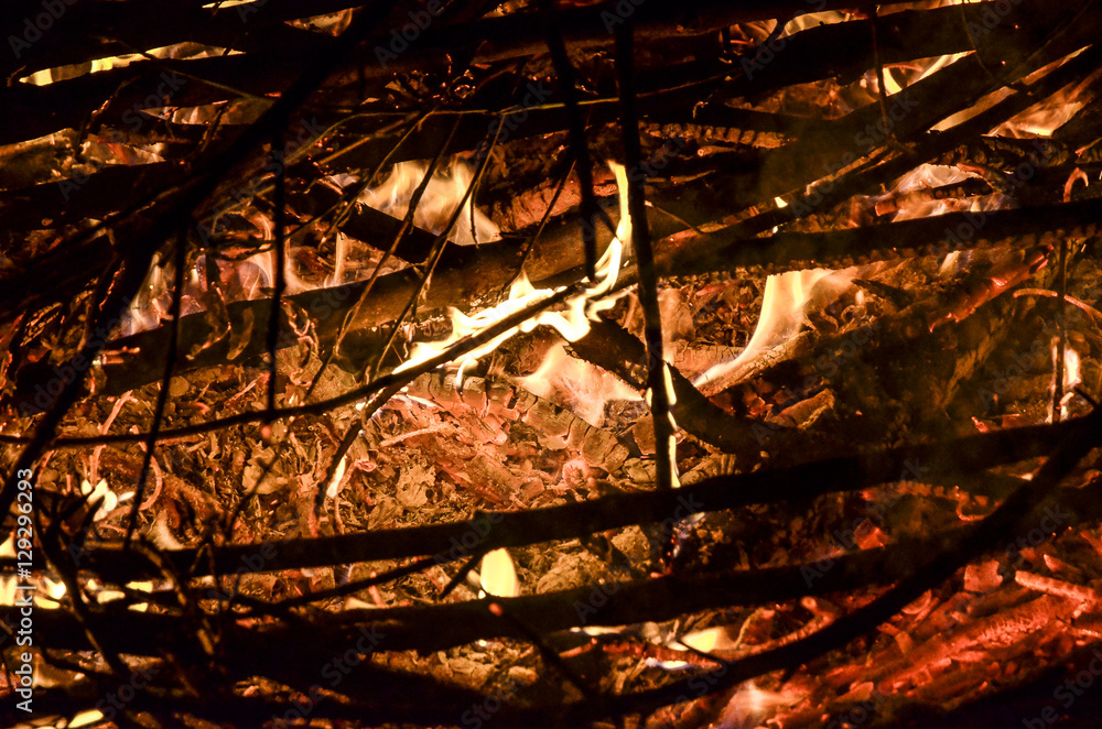 Open flames burning dead branches and weeds Open flames burning dead branches and weeds
