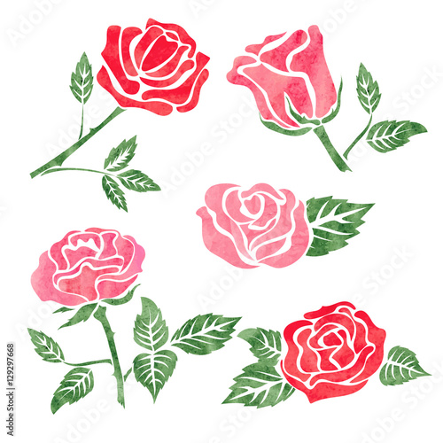 Set of watercolor rose flower design elements isolated on white. Vector floral illustration.