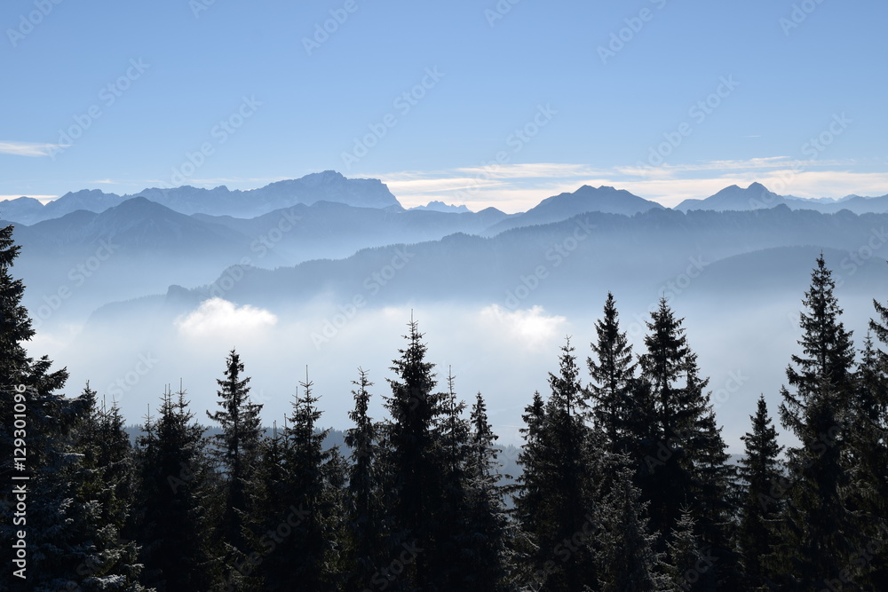 winter panorama