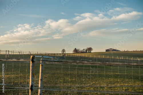 Wallpaper Mural Agrarlandschaft am Abend Torontodigital.ca