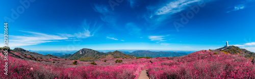 Biseulsan National Recreation Forest The best Image of landscape Mountain flower and autumn in South Korea.