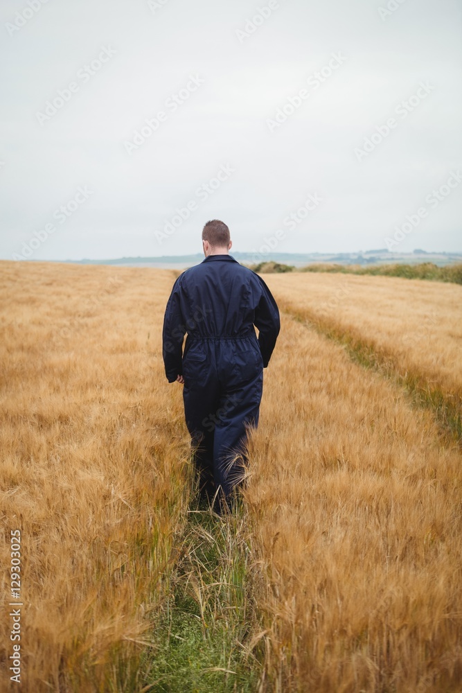 Rear view of farmer walking in the field Rear view of farmer walking in the field