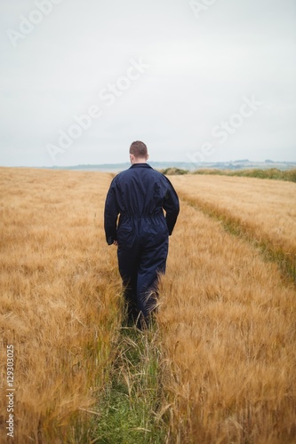 Rear view of farmer walking in the field © WavebreakmediaMicro