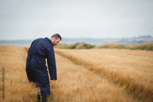 Farmer checking his crops