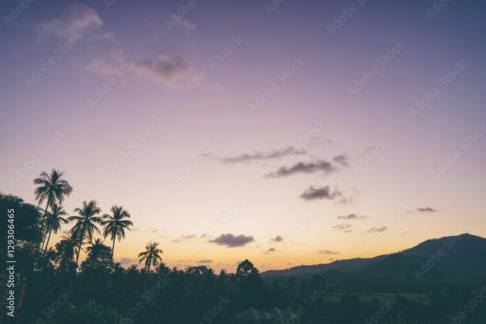 Beautiful tropical sunset with silhoette of palm trees.