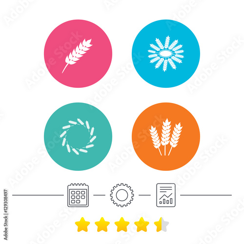 Agricultural icons. Gluten free or No gluten signs. Wreath of Wheat corn symbol. Calendar, cogwheel and report linear icons. Star vote ranking. Vector