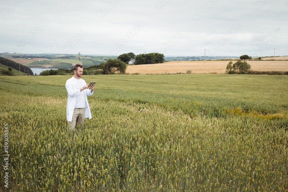 Agronomist using digital tablet in the field Agronomist using digital tablet in the field
