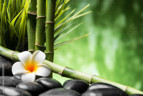 frangipani and bamboo on the zen basalt stones