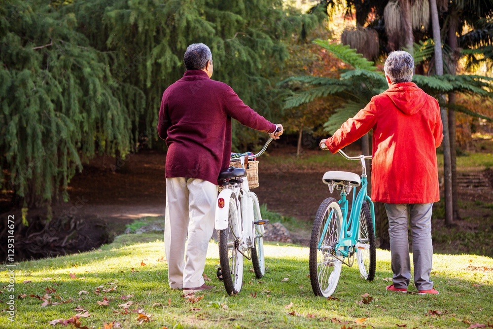 Fototapeta premium Couple with bicycle at park