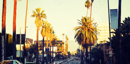 Hollywood boulevard at sunset photo