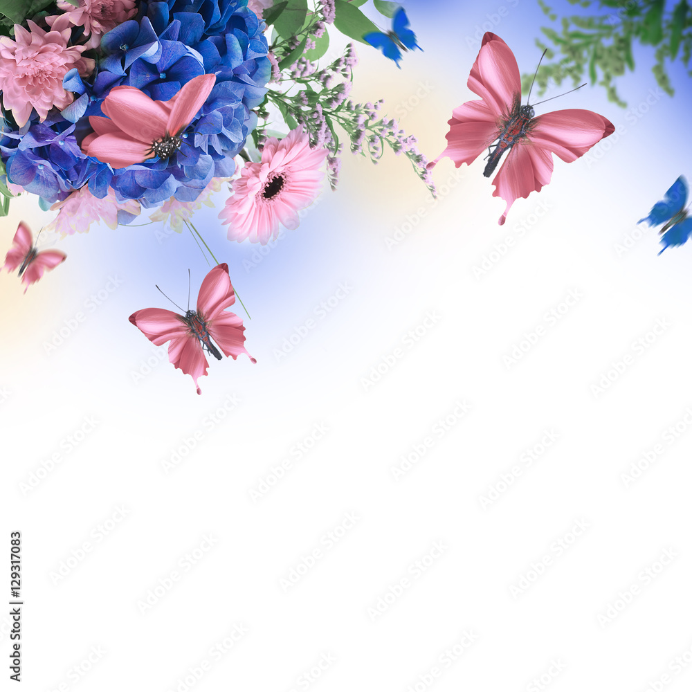 Fototapeta Niesamowite tło z hortensjami i stokrotkami. Żółte i niebieskie kwiaty na białym pustym miejscu. Natura karty kwiatowej. bokeh motyle.