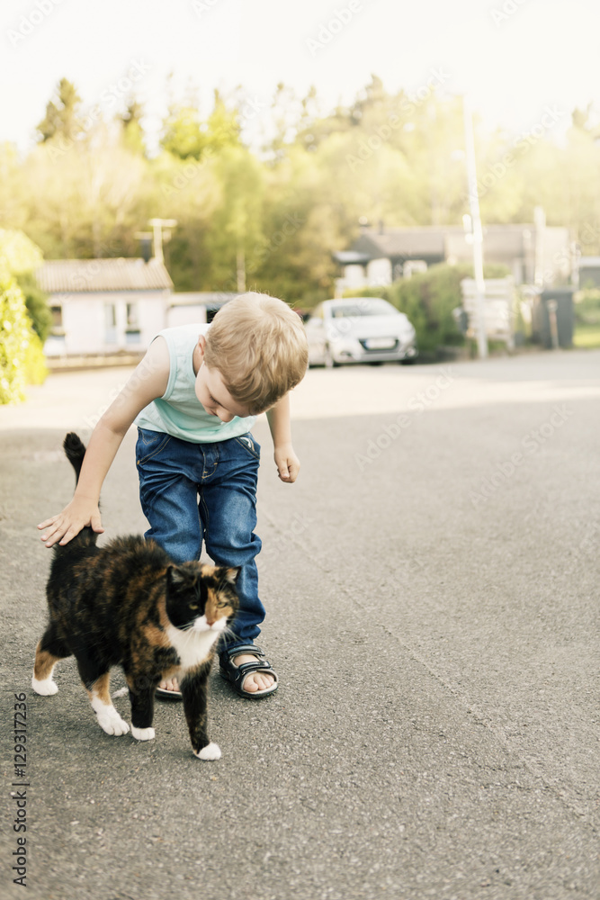 Son playing with cat on street Son playing with cat on street