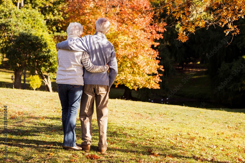 Fototapeta premium Senior couple embracing 