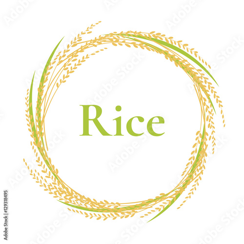 ear of rice logo design, circle frame vector, plant sign
