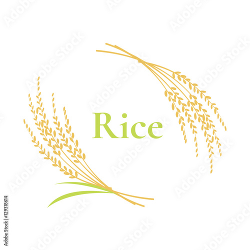 rice logo design on white background, vector