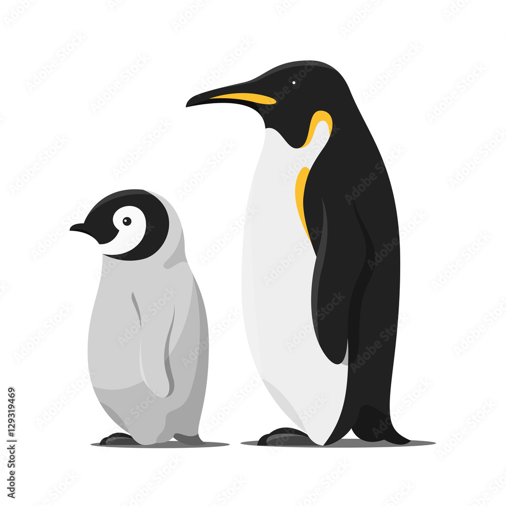 Obraz premium Vector cartoon style illustration of penguins.