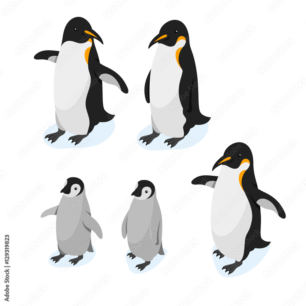 Fototapeta premium Isometric 3d vector realistic style set of penguins.