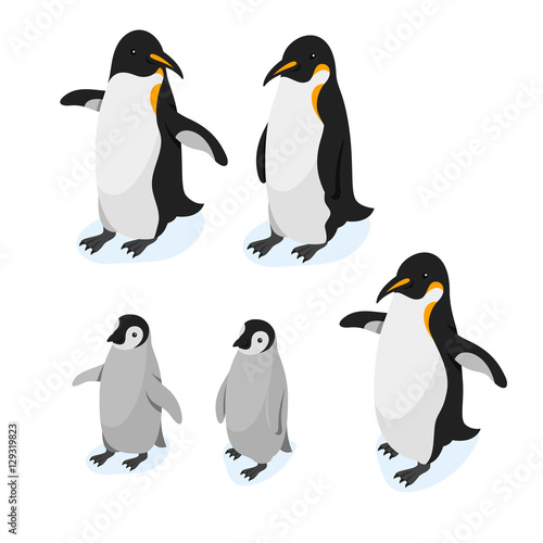 Isometric 3d vector realistic style set of penguins.