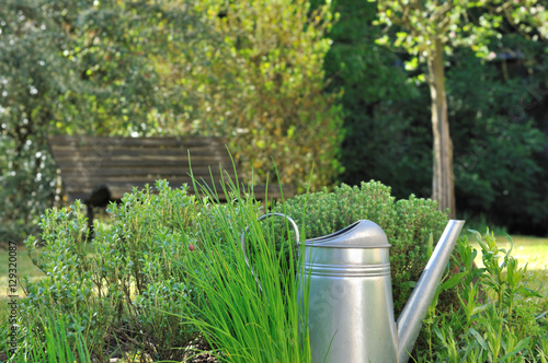 arrosoir dans herbes aromatiques du jardin  photo