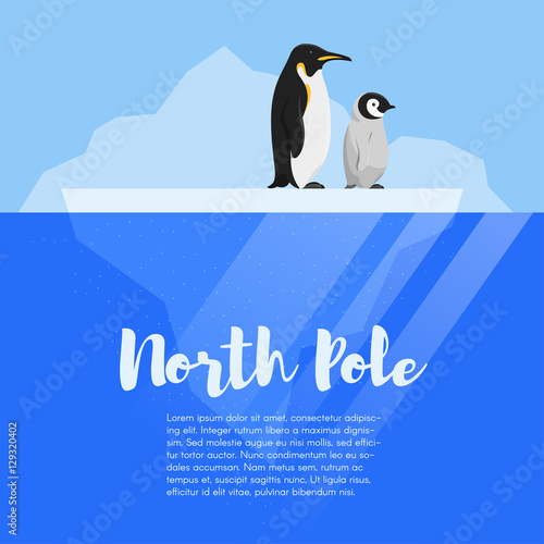 Vector flat style illustration of two penguins on the glacier