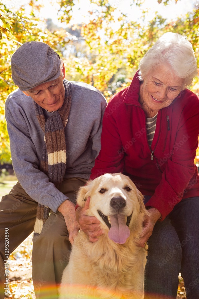 Elderly couple with their pet dog Elderly couple with their pet dog