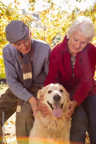 Elderly couple with their pet dog photo