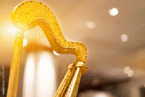 Harps golden light background. photo