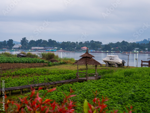 Green Area and Mekong River  photo