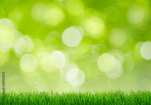Panorama of grass with green bokeh
