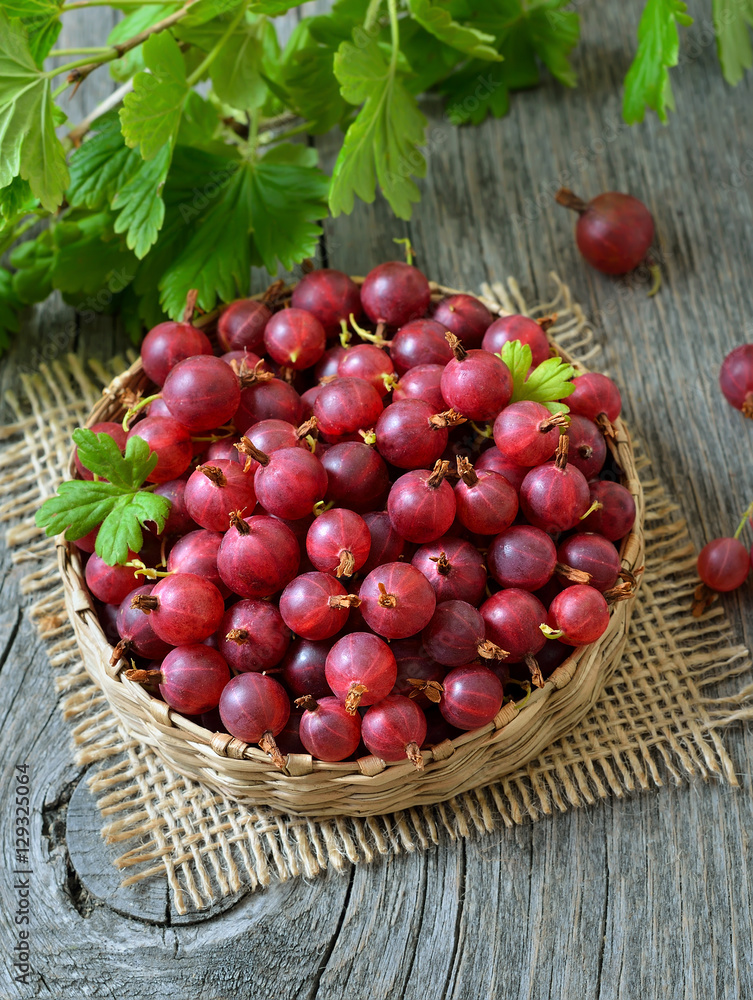 Red gooseberries in basket Red gooseberries in basket