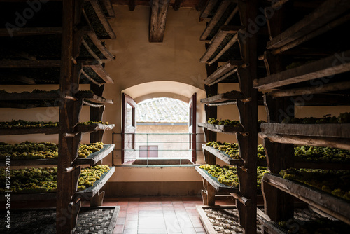 Room in which trebbiano grapes are being dried to become vin san photo