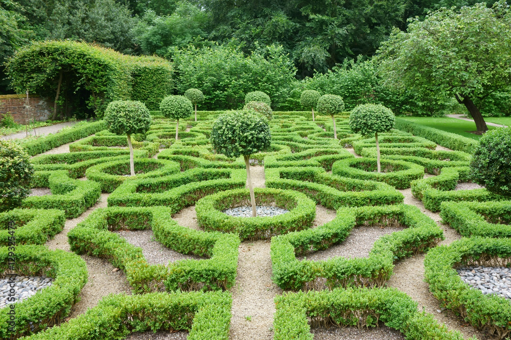Tudor style knot garden in English country garden. - obrazy, fototapety, plakaty 