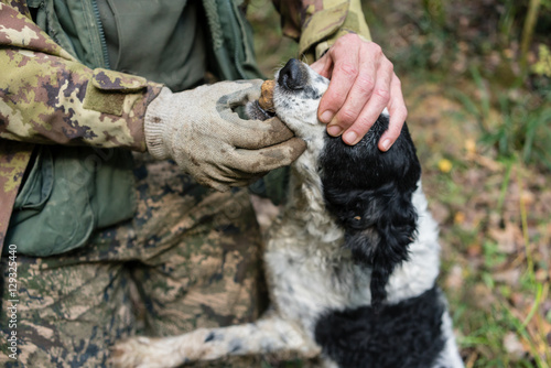 Truffle dog trying to eat a black truffle while the hunter is ta photo