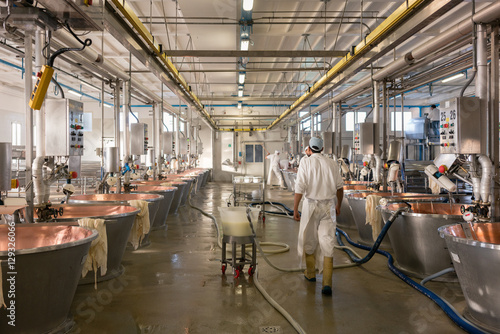 Hall in food factory where cheese is being made from curd in photo