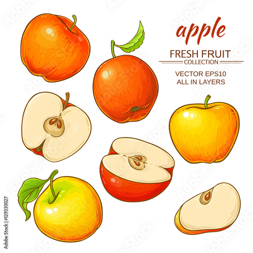 apple vector set
