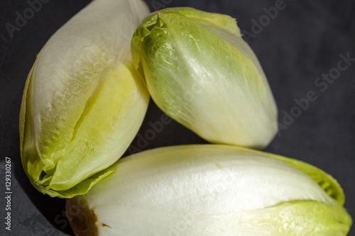 Fresh green endive for an healthy nutrition.