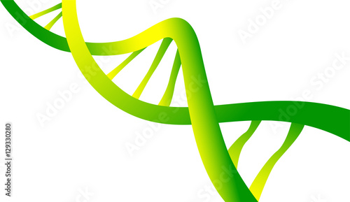 dna, scienza, biologia