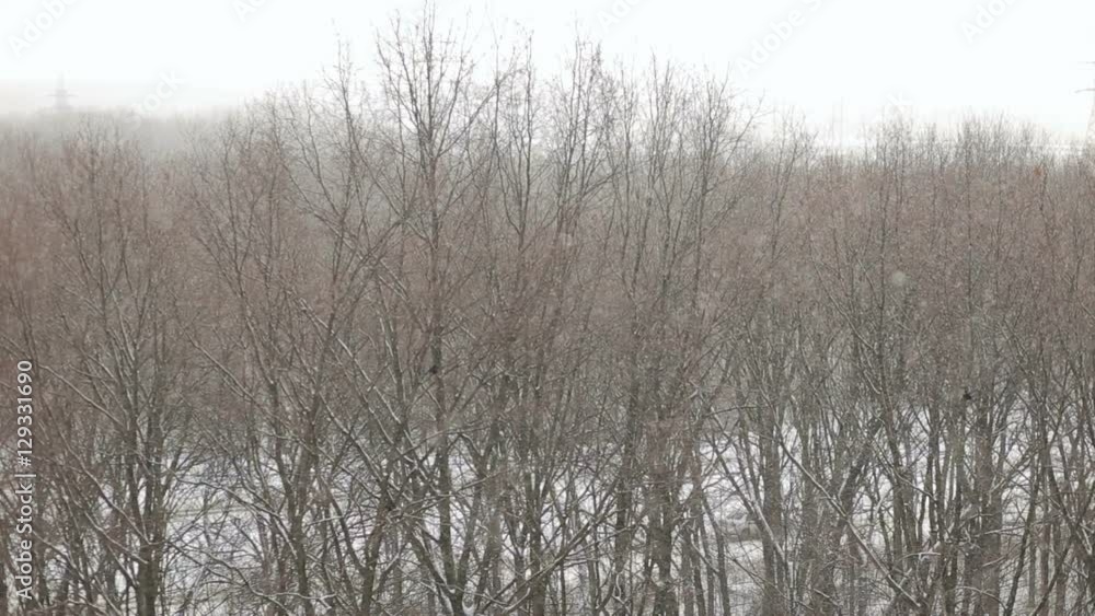 Beautiful winter landscape with snow. Winter landscape. Winter background. Beautiful winter landscape with snow. Winter landscape. Winter background.