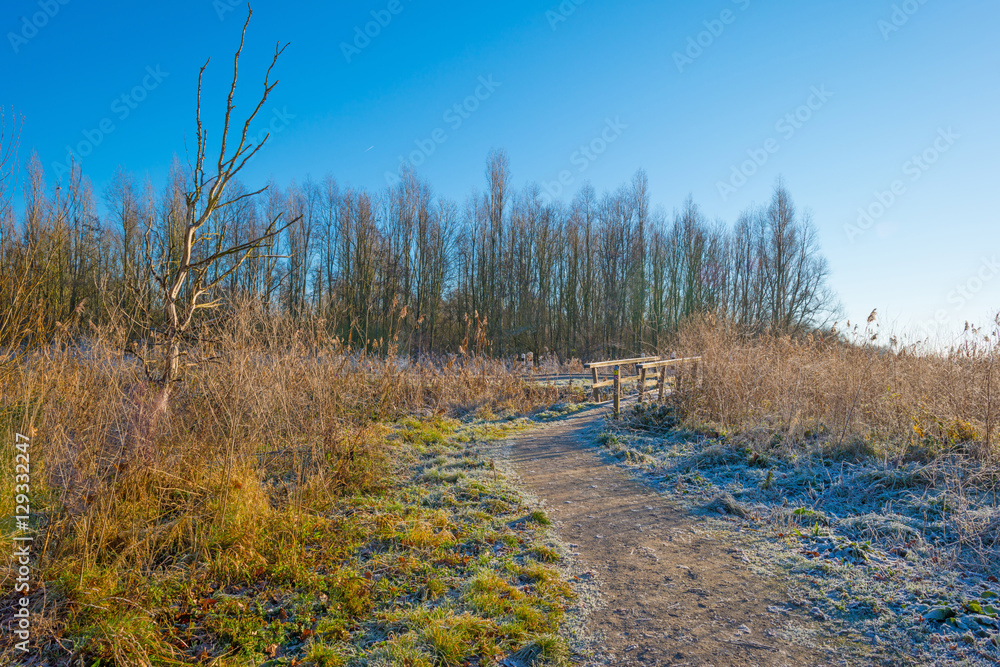 Path through a frozen field at sunrise in winter