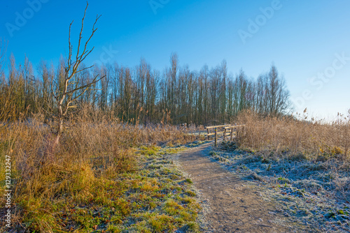 Path through a frozen field at sunrise in winter