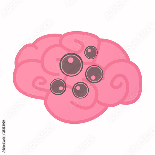 Isolated brain with oocytes