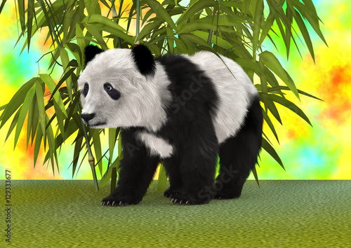 Fototapeta Naklejka Na Ścianę i Meble -  3D Rendering Panda Bear