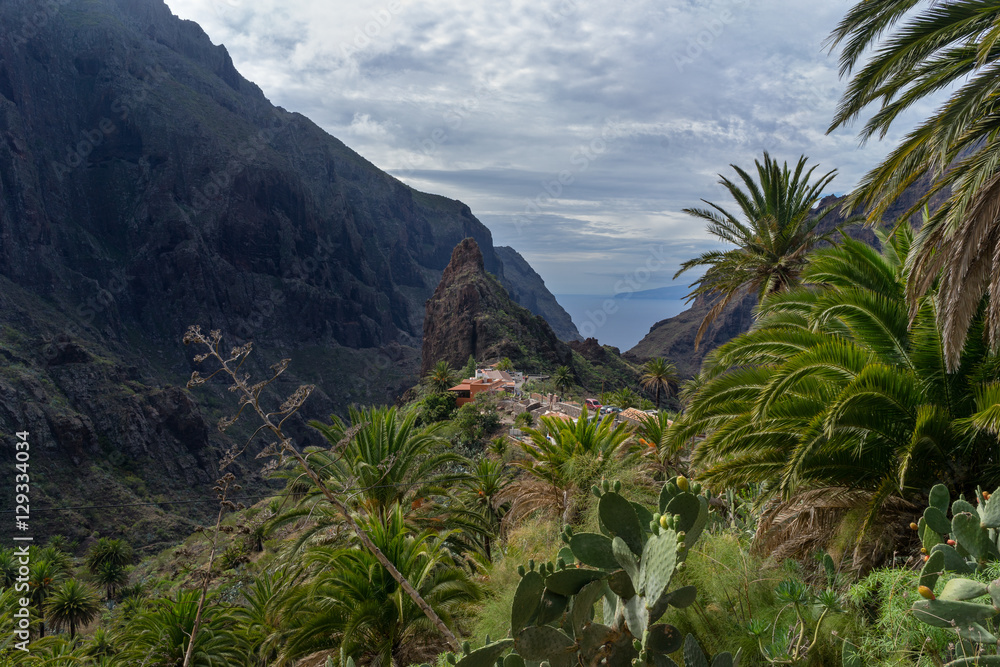 Obraz premium Scenic view of famous Masca ravine leading from village of Masca to shore of Atlantic Ocean. Tenerify Canary Islands, Spain.