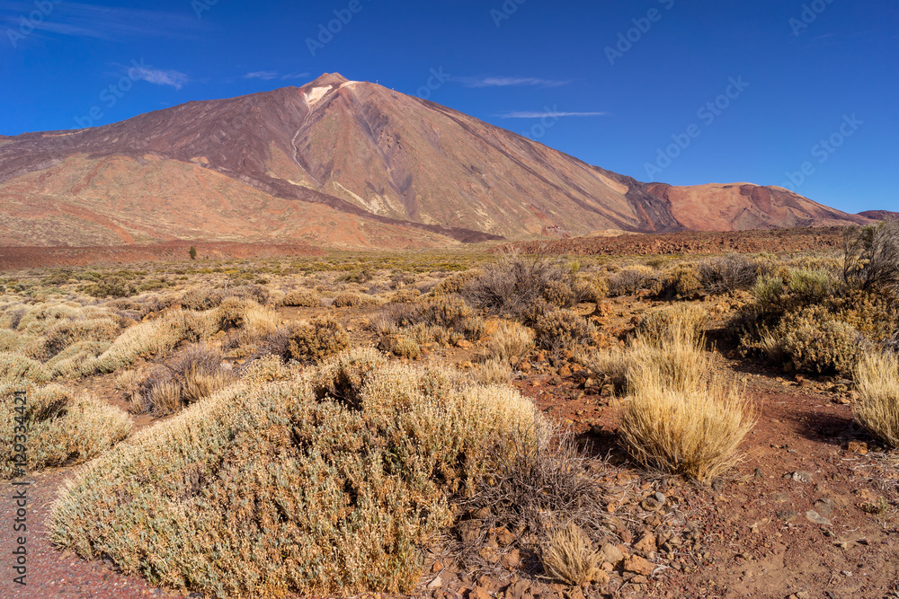 Obraz premium Panoramic view of Mount Teide volcano rising from sea level up to 3718 meters (12198 ft). Tenerife, Canary Islands.