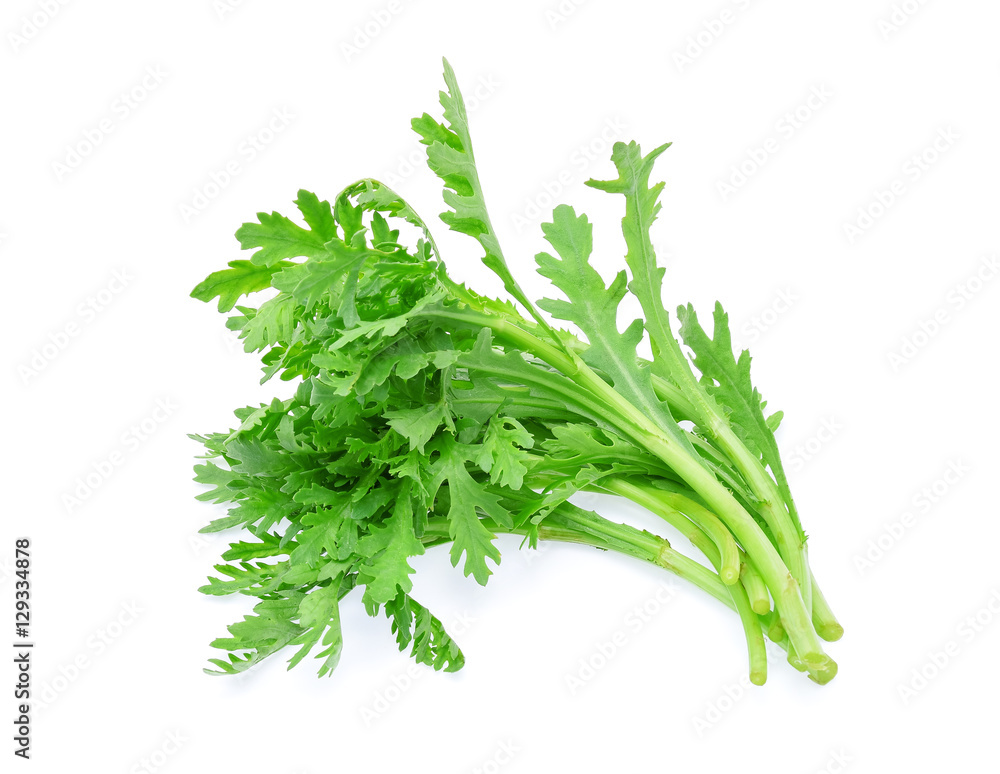 edible chrysanthemum leaf isolated on white edible chrysanthemum leaf isolated on white