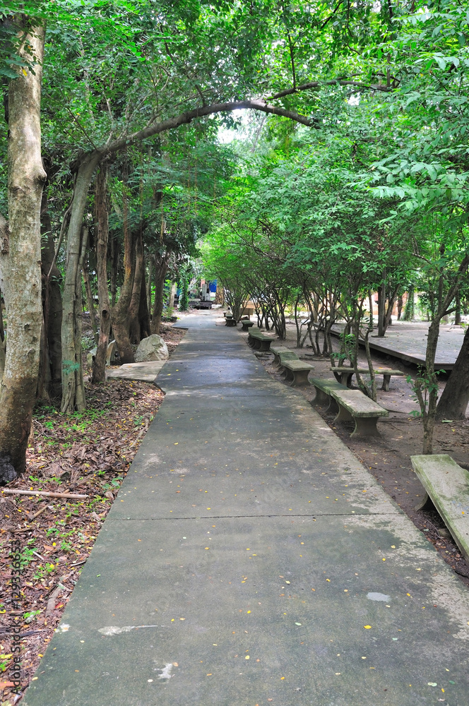 Walkway in public park in morning.