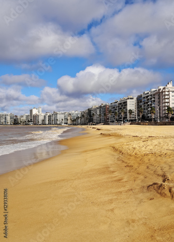 Uruguay, Montevideo, View of the Pocitos Beach on the River Plate. photo